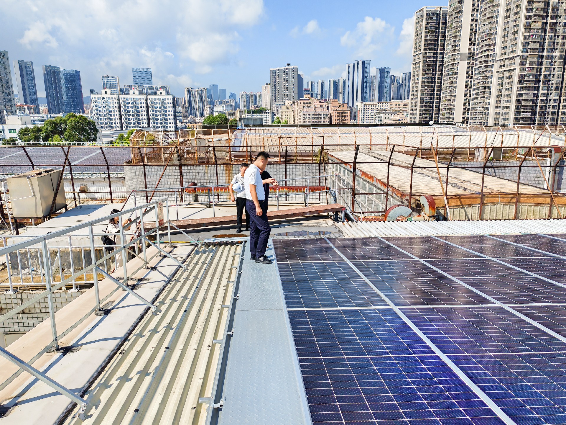 1722838698634166.jpg d9bb26c99e5c72d6663d8259b666d60-p.jpg